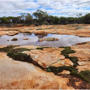 Cultural Awareness Training